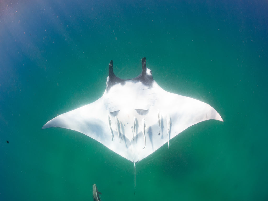 4adb9942-a031-43e6-9a57-fe16cb24a9d7