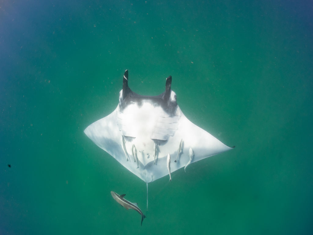 4adb9942-a031-43e6-9a57-fe16cb24a9d7