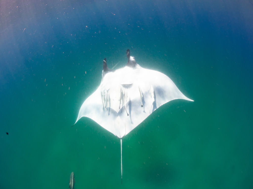 4adb9942-a031-43e6-9a57-fe16cb24a9d7