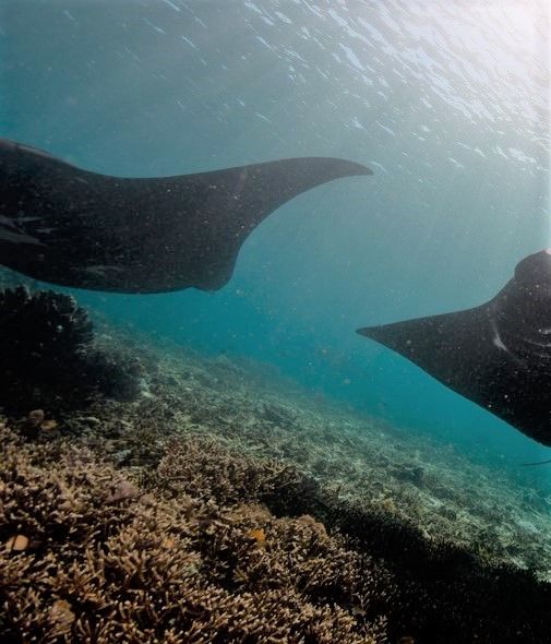 0cfeaab5-87a8-4e38-9e43-63f3a74c6037