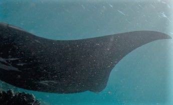 0cfeaab5-87a8-4e38-9e43-63f3a74c6037