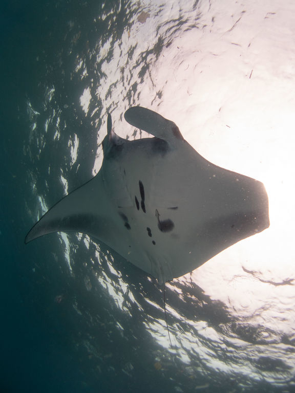 e1f562bc-0ed3-475d-ac78-4209268745dc