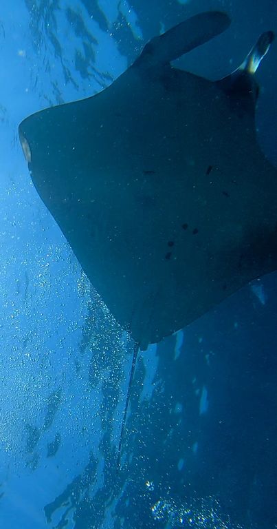 0e19a016-e72c-4a11-99fd-c98338aa3425