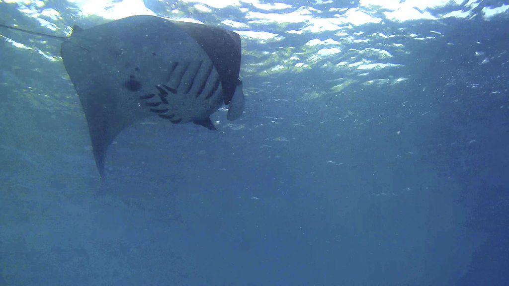 9336c470-b0f1-46a6-a9c8-08397892b925