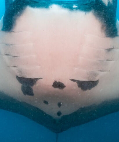 b823081f-6655-4523-b2d3-d8465f5359a1