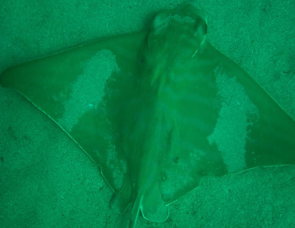 0000e9d7-6e66-47aa-9cbb-92a44f45b854