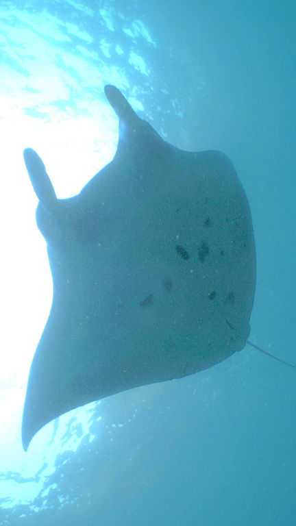 7b74d646-1d03-4408-ac81-5dce39e1b729