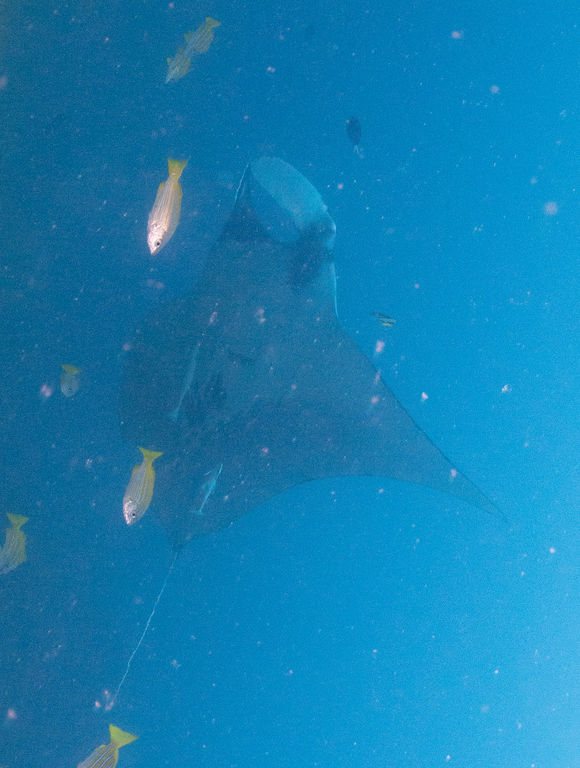 595c5720-475f-4e7f-be24-1f7da8dbdcaf