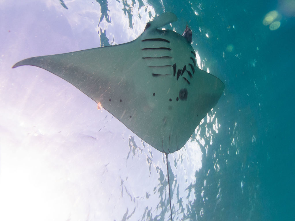 9336c470-b0f1-46a6-a9c8-08397892b925