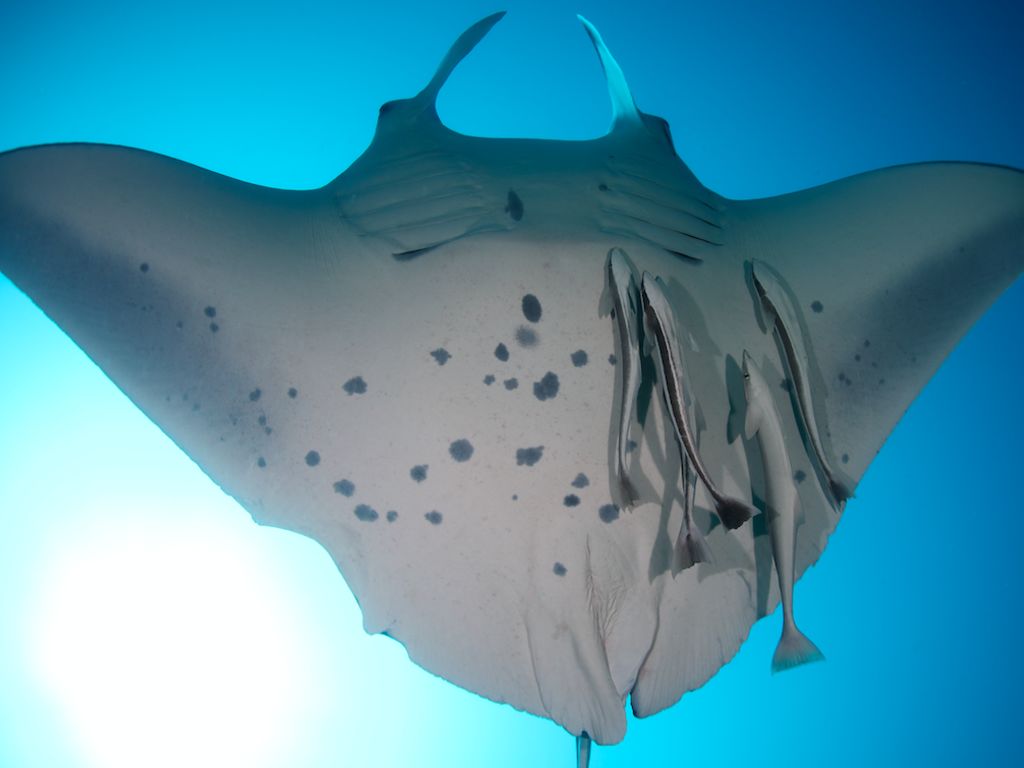 e3cfc5a7-fd7b-4143-8e82-dd12eebc2827