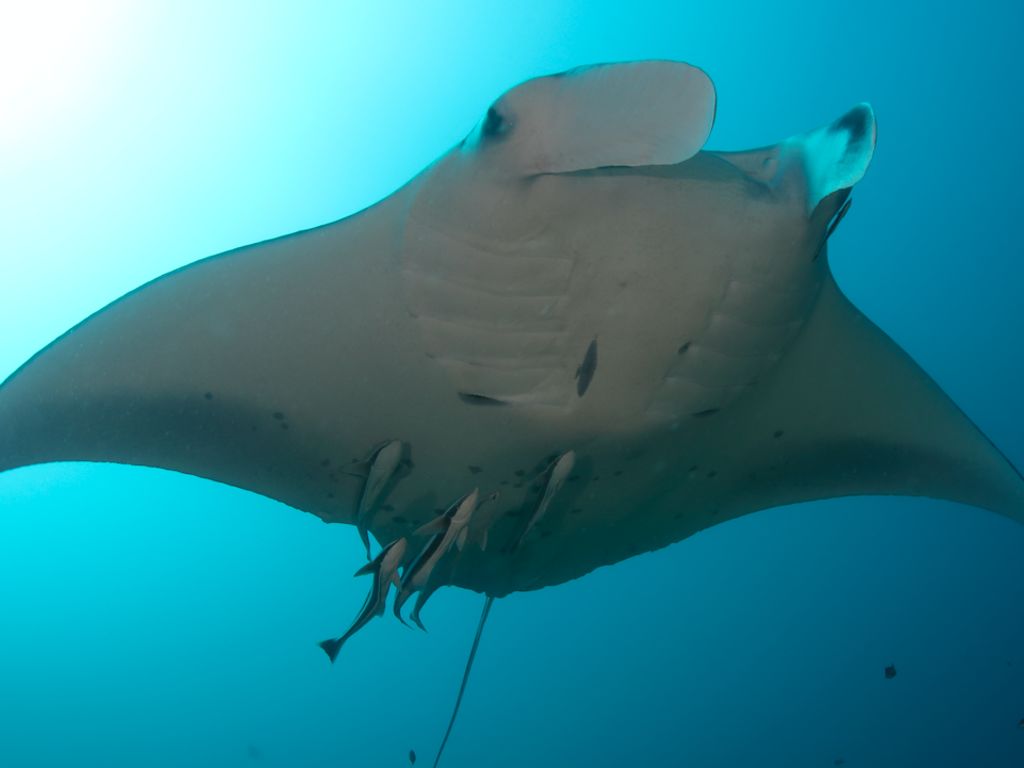 e3cfc5a7-fd7b-4143-8e82-dd12eebc2827