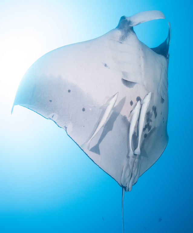 d1896efd-13f6-4ac0-858a-00295d1d0457