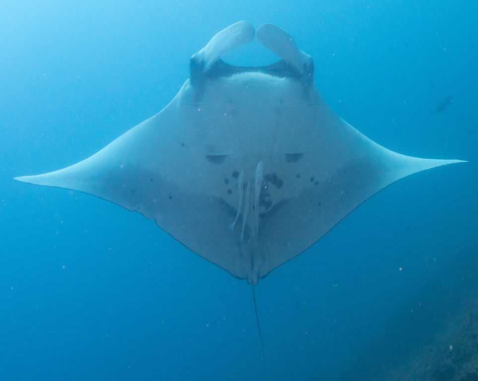 d1896efd-13f6-4ac0-858a-00295d1d0457