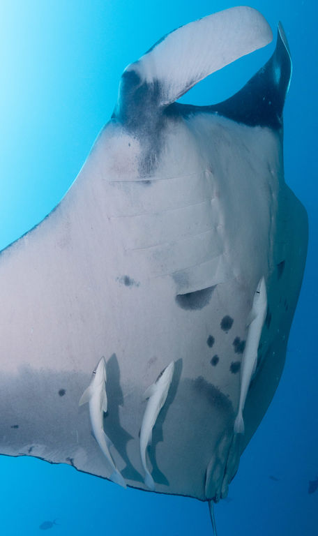 d1896efd-13f6-4ac0-858a-00295d1d0457