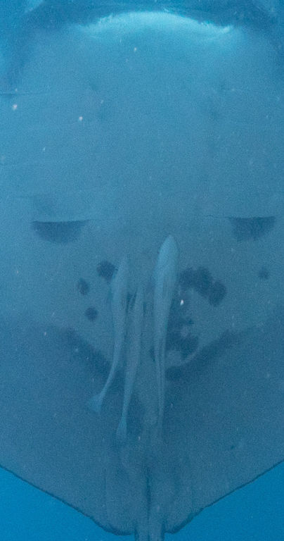 d1896efd-13f6-4ac0-858a-00295d1d0457