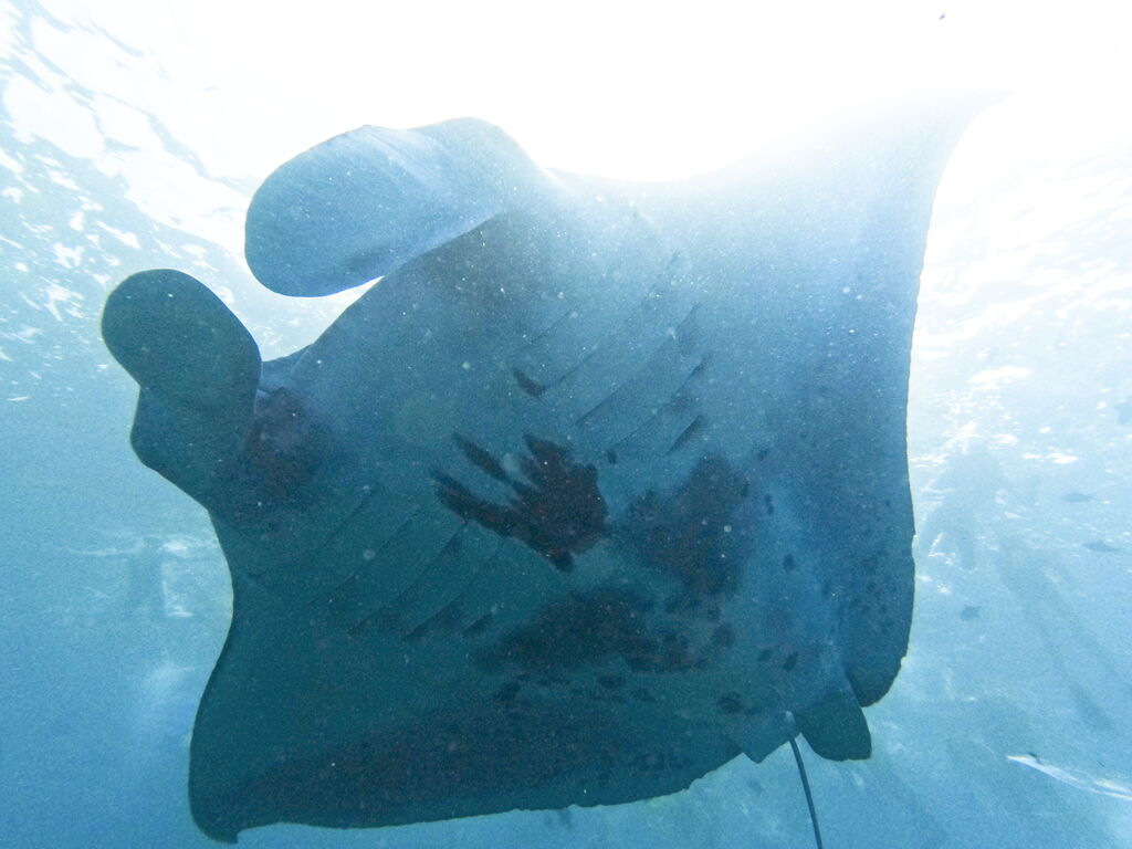 0fbed471-cb95-4f11-8f18-ced13cc99e62