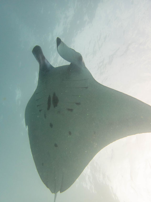 5fb6cc45-d6e9-49a7-9eba-307aafe28d41