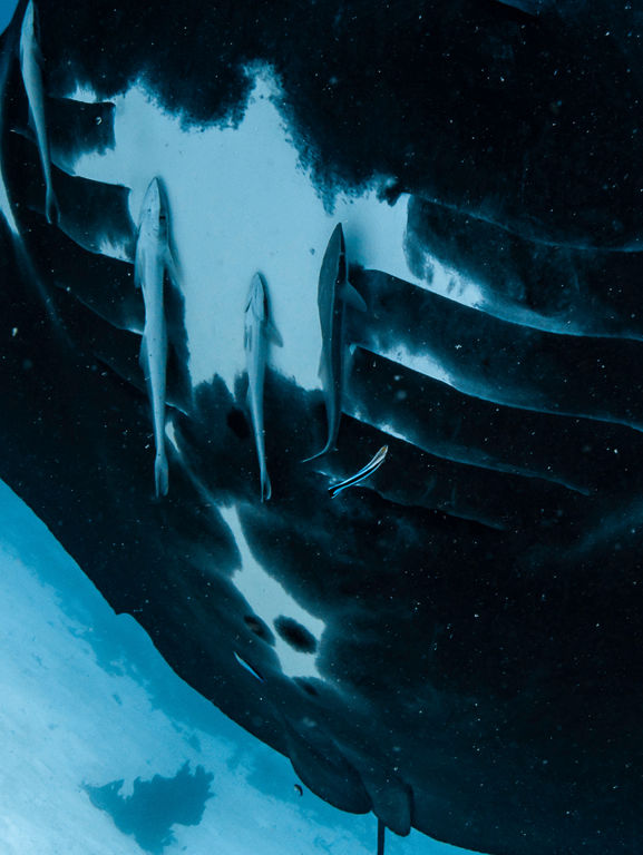 55ac8023-9fec-42ac-a1d7-f6ef9b255874