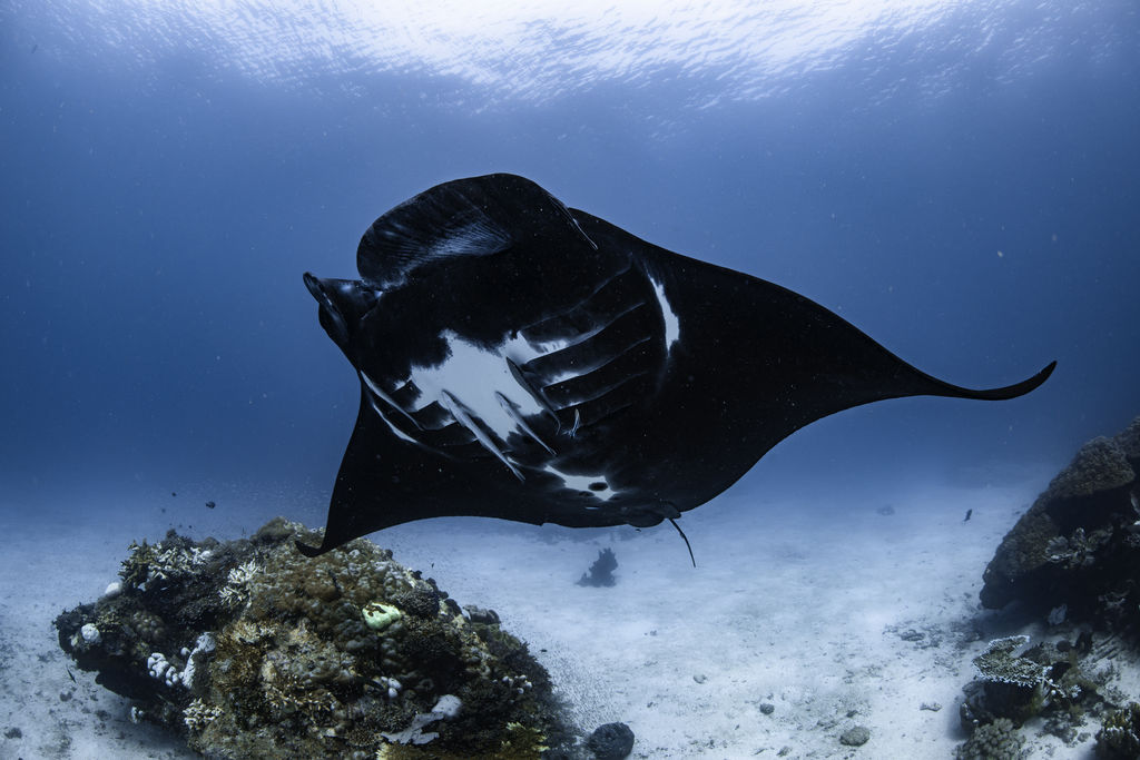 55ac8023-9fec-42ac-a1d7-f6ef9b255874