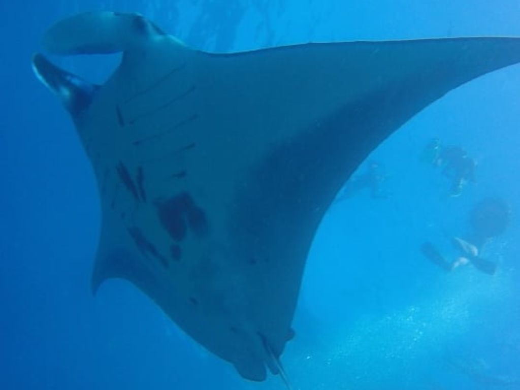 de5f5721-0c9d-4332-aaec-6b018ea7c030