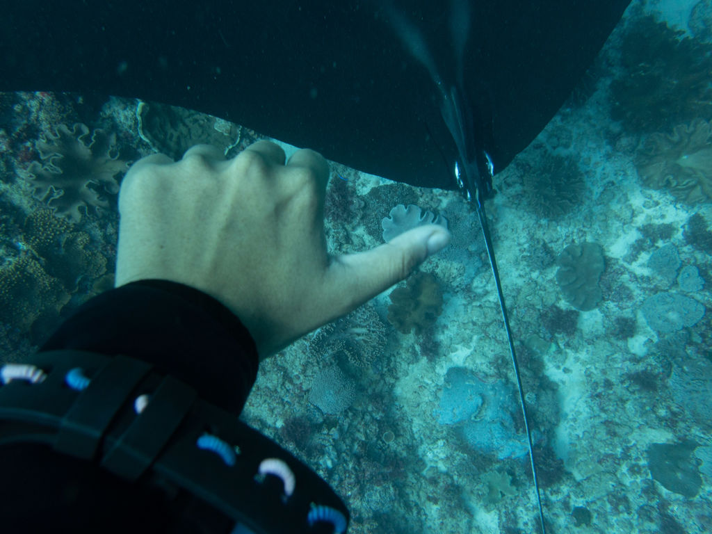 5adbf9cb-0b52-4905-83a6-1c2e6fcad525