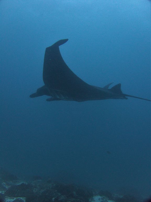 b1598454-014a-4ce4-8096-96abdac3567b