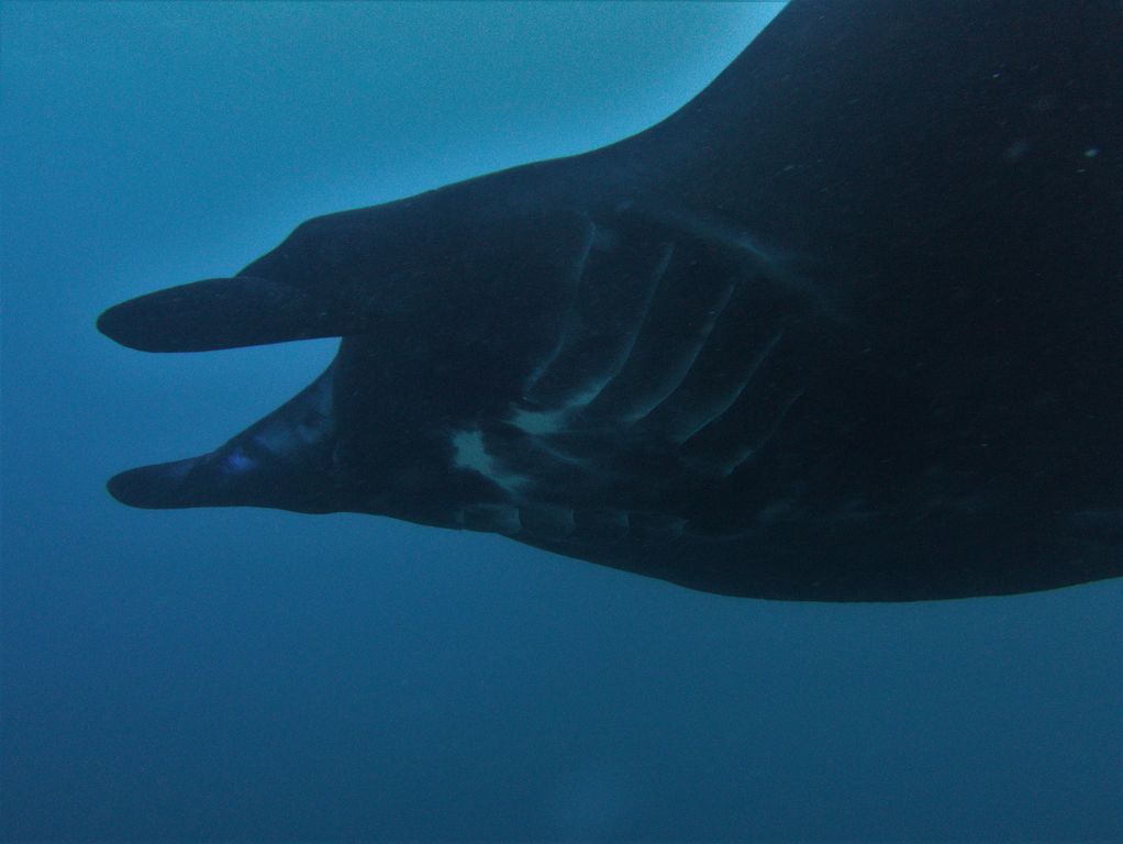 b1598454-014a-4ce4-8096-96abdac3567b