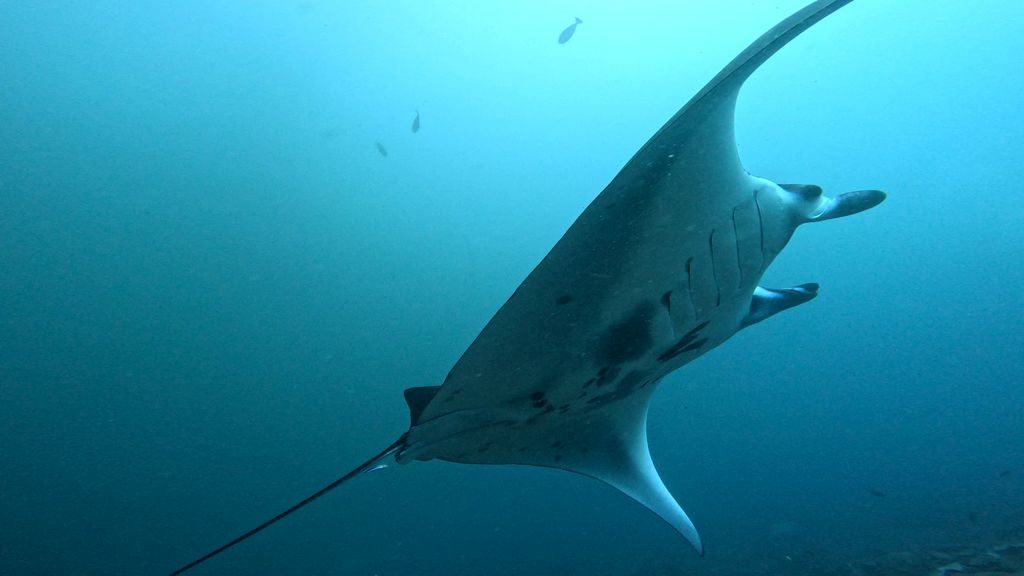 6f06bafb-2960-45e0-8243-d17902ae978c