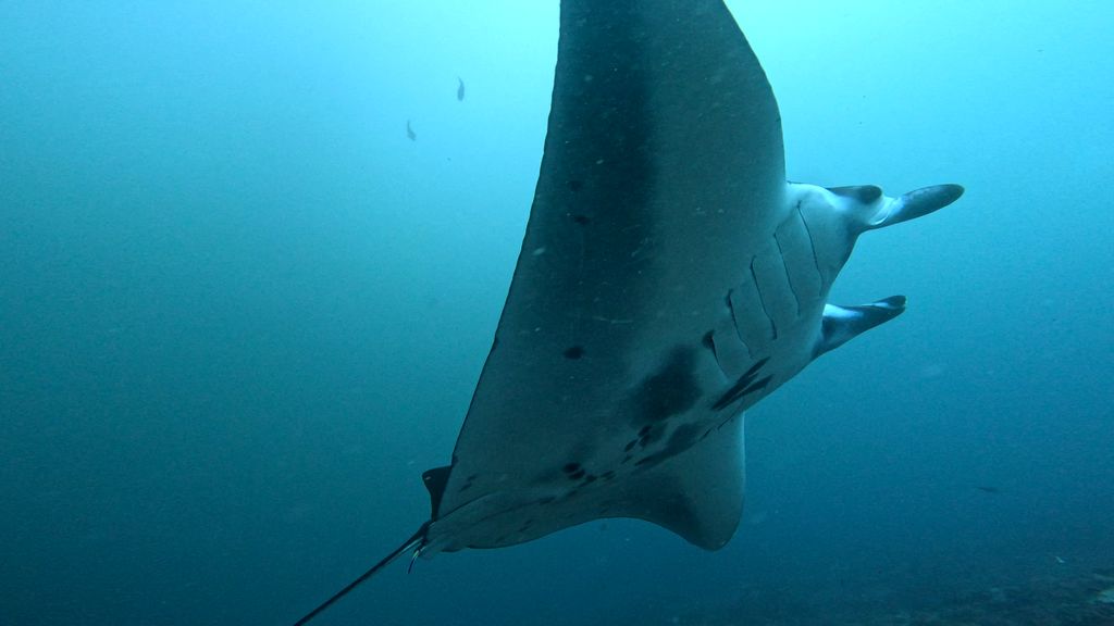 6f06bafb-2960-45e0-8243-d17902ae978c