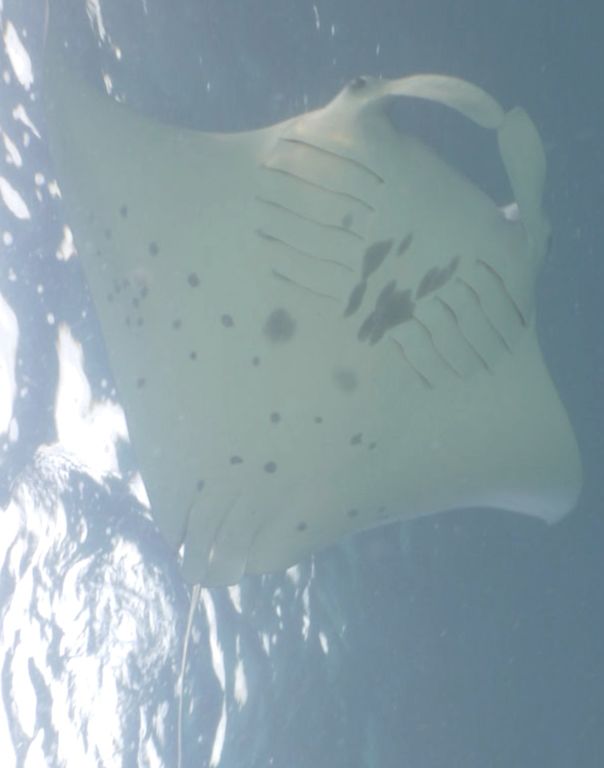 c8273165-67db-4613-a9da-4c72076559ad