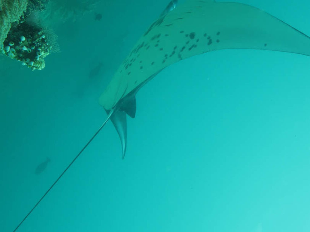 987c567f-94b7-48f8-b08c-71580daacc62