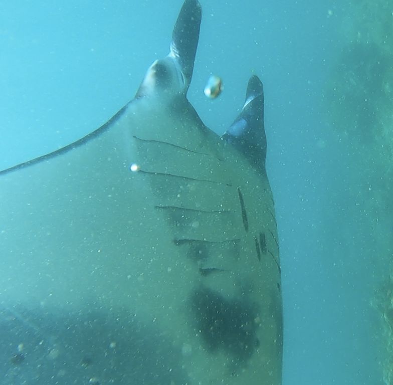 ffafd9c6-aeca-4c64-b453-2a5fa747fb62