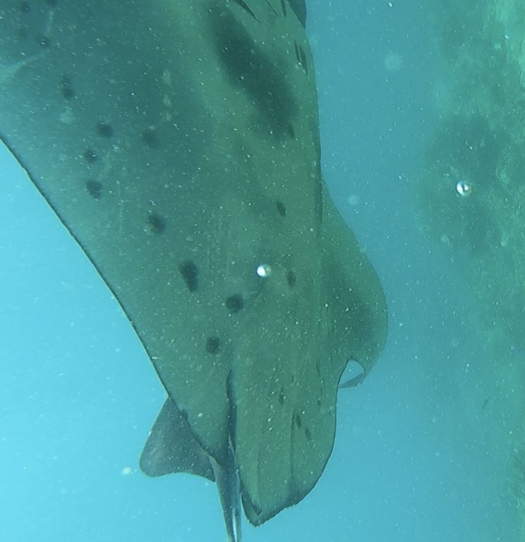 ffafd9c6-aeca-4c64-b453-2a5fa747fb62