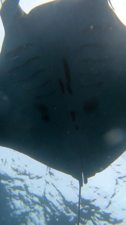 e1f562bc-0ed3-475d-ac78-4209268745dc