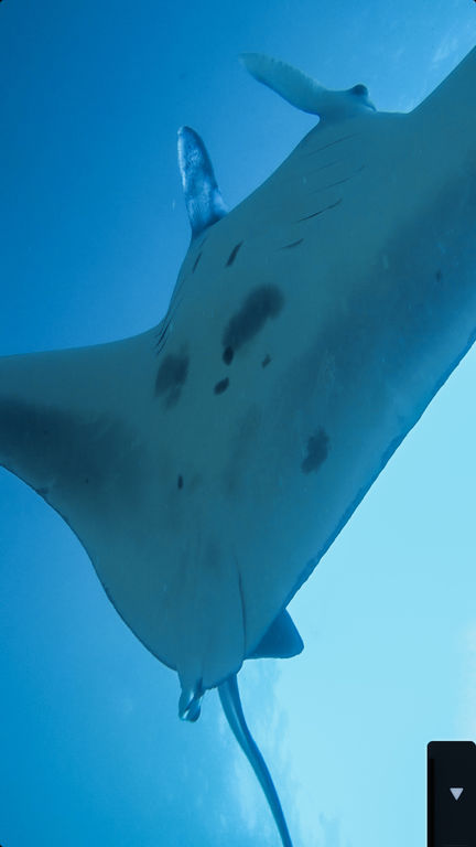 a8952e1c-36e2-41dd-a8ed-1b20825eaa07