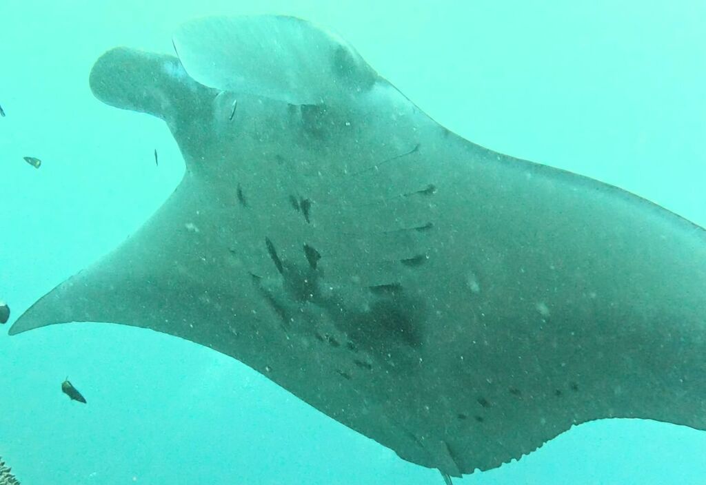 4f2618f2-3db5-4a9c-85b9-2a6c8d05467b