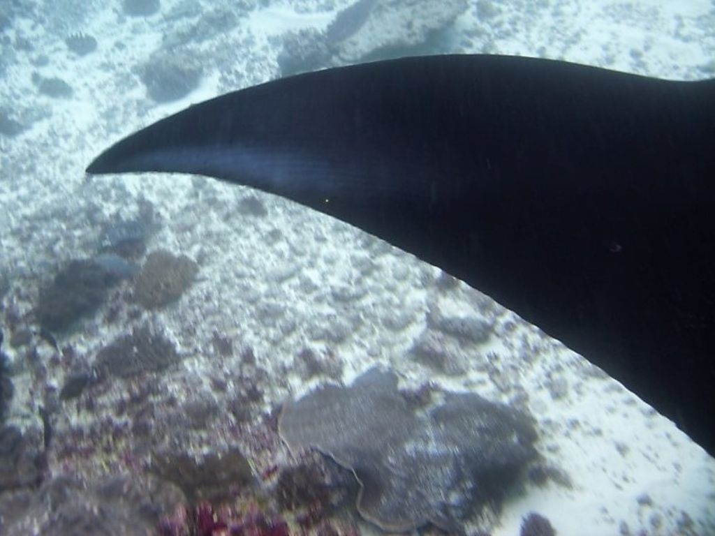 2a4ad653-953f-4945-964b-d7f1ba25e96f