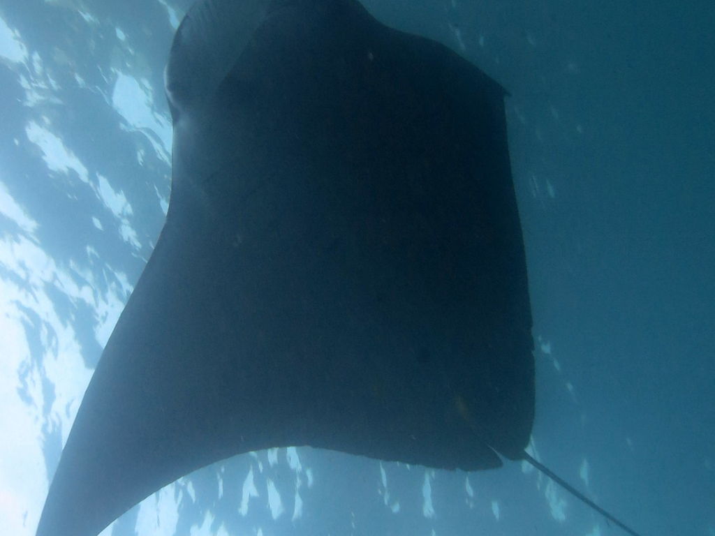 5558d541-6217-47dc-903f-38d889536ee7