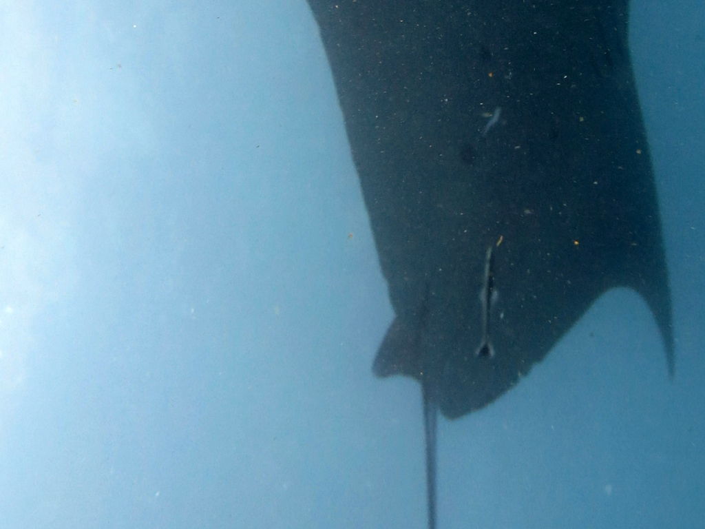 5558d541-6217-47dc-903f-38d889536ee7