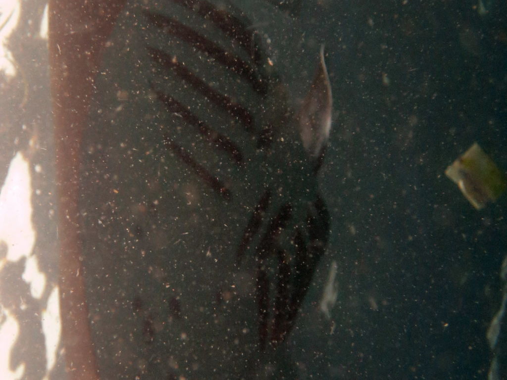 e498ba88-c645-43e6-84d3-5b3747a49c1b