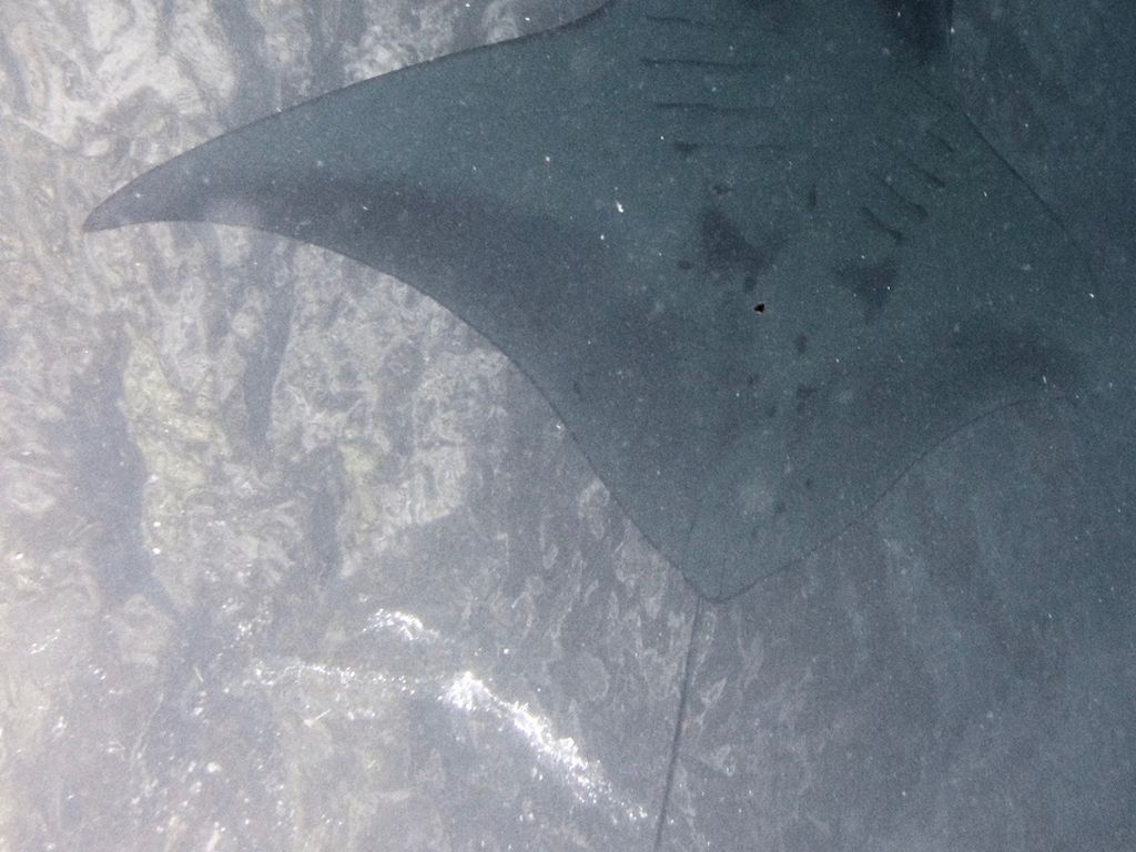 afd5dc24-bc56-4d9c-8c63-bf2653ffbda7