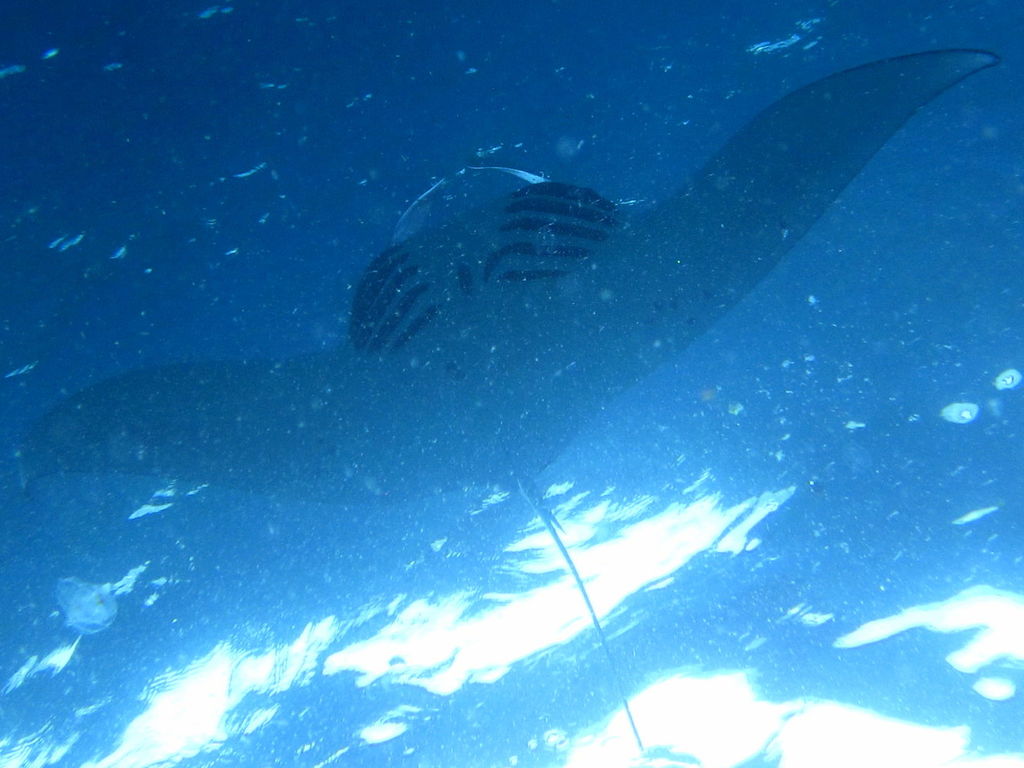 a27049d3-b4bd-421b-ac96-f2991700df1e