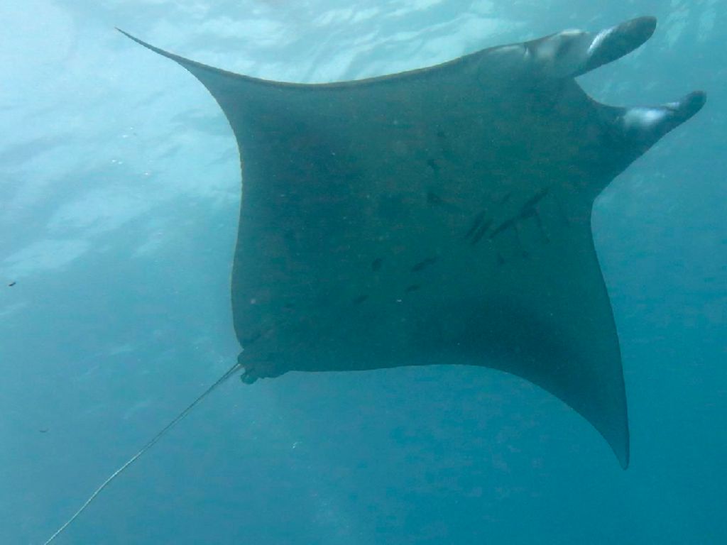 95c5b764-5171-4079-9eee-a03fc3718363