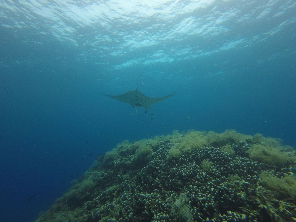 987c567f-94b7-48f8-b08c-71580daacc62