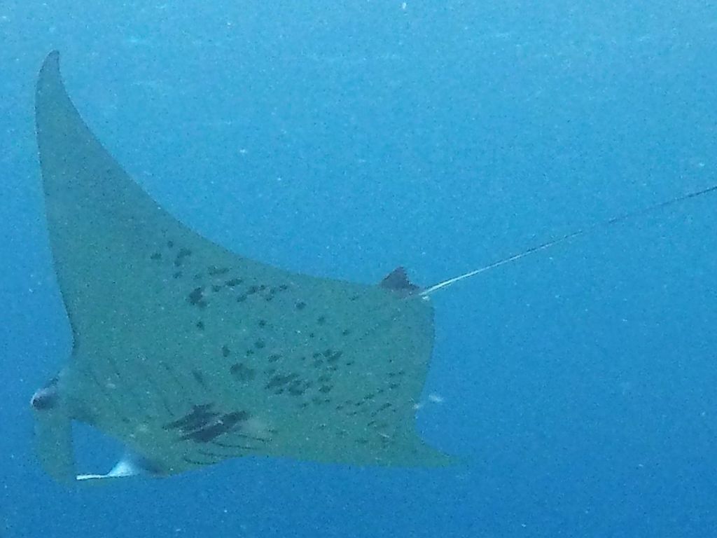 987c567f-94b7-48f8-b08c-71580daacc62