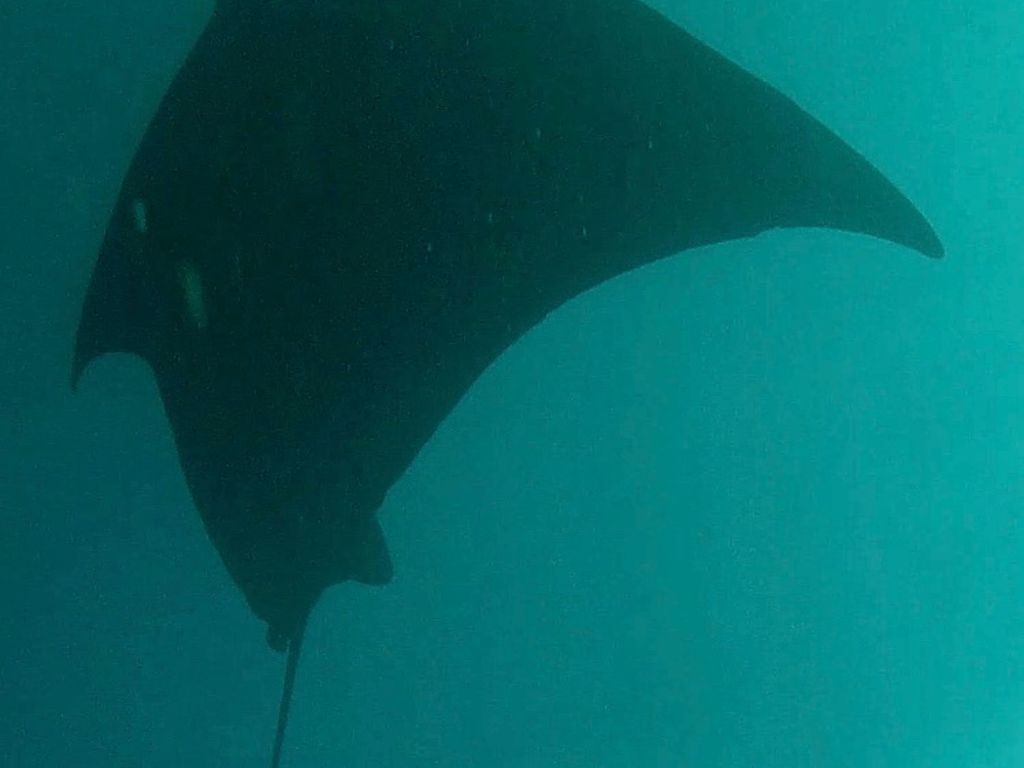 47b965ca-9455-47e2-85f1-952dba529f7b