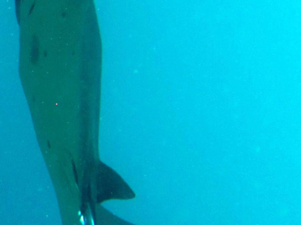 a61b5982-e37a-4a0e-a18b-40737045ea45