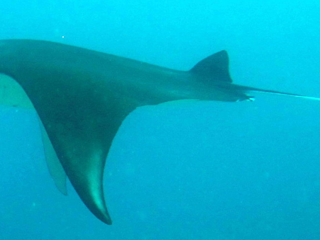 a61b5982-e37a-4a0e-a18b-40737045ea45