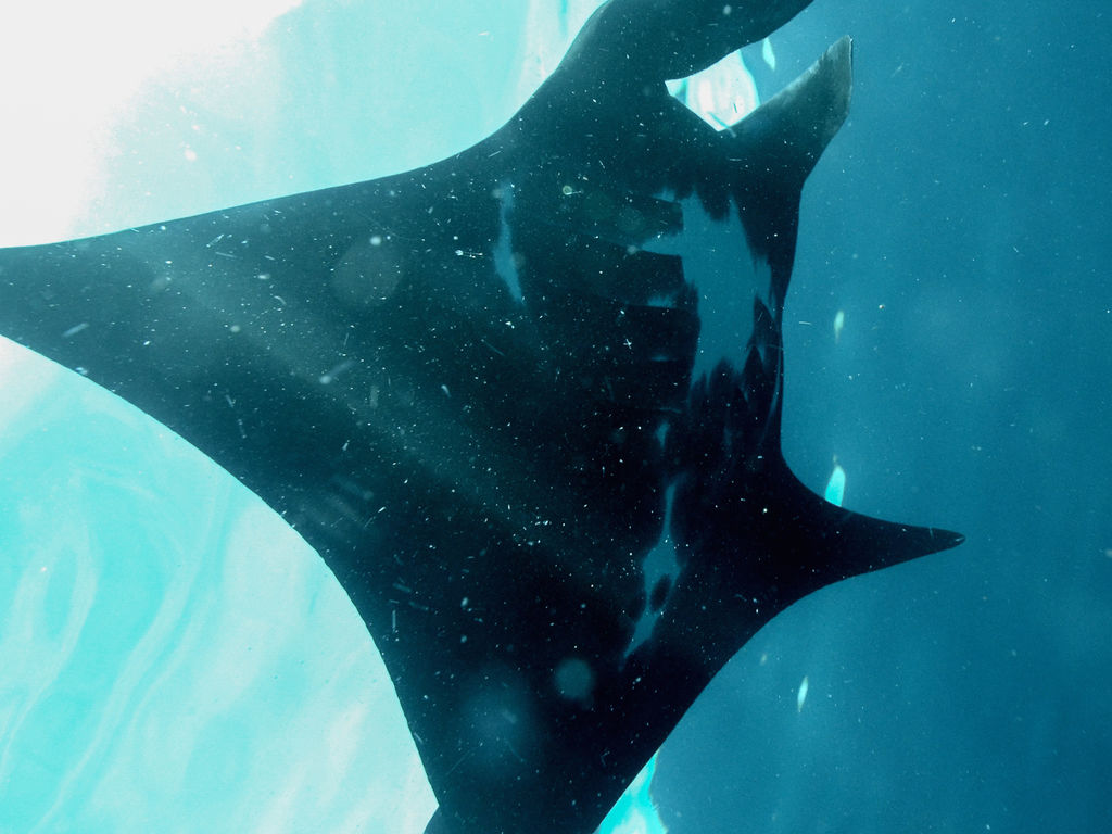 55ac8023-9fec-42ac-a1d7-f6ef9b255874