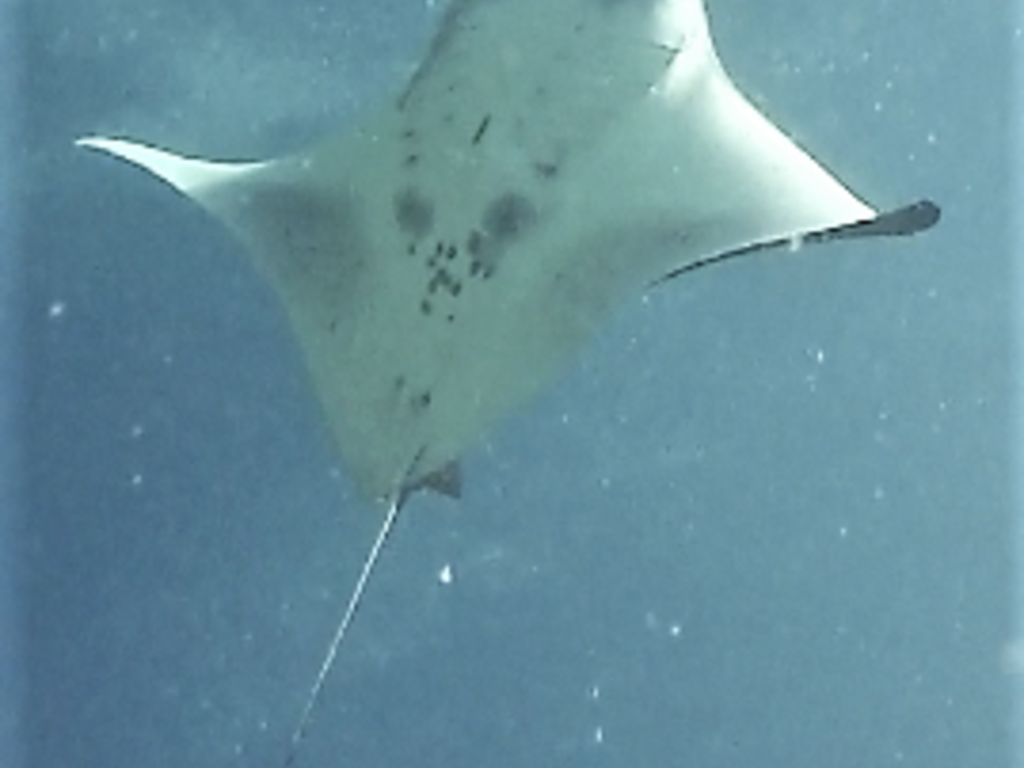 481fefec-b0bf-4392-8039-4e102270fd27